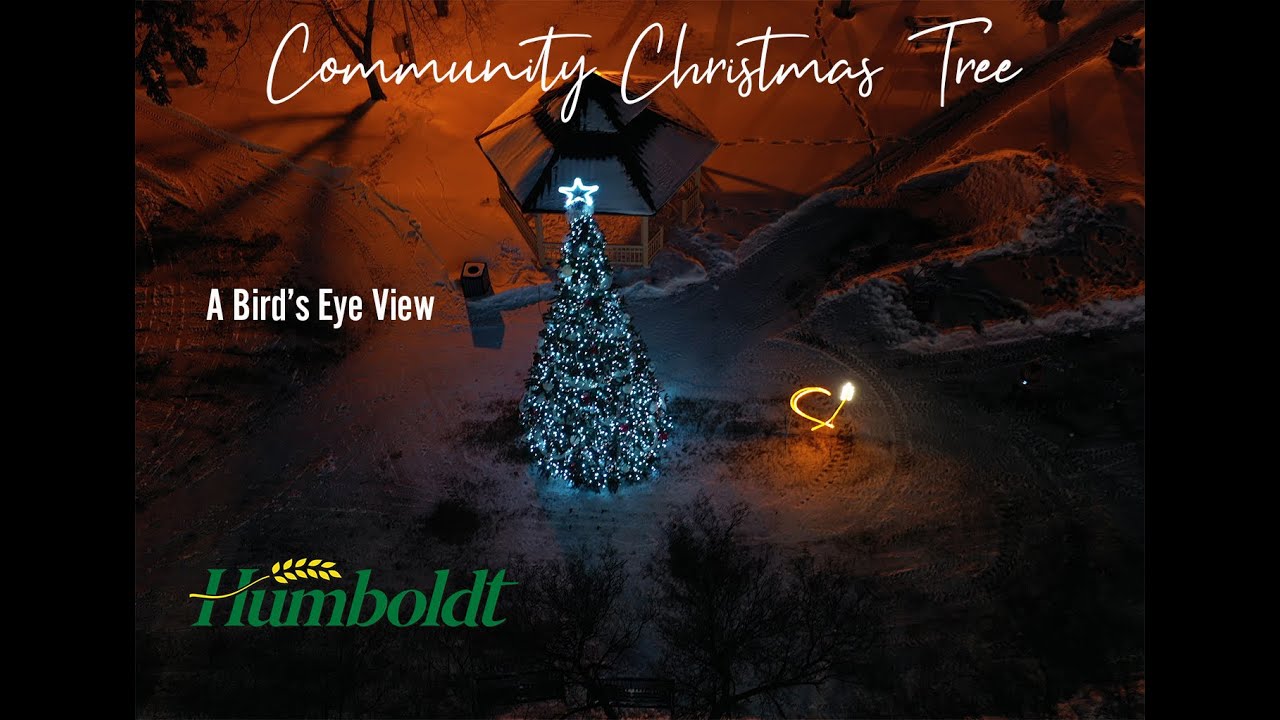 A Bird's Eye View: Humboldt Community Christmas Tree